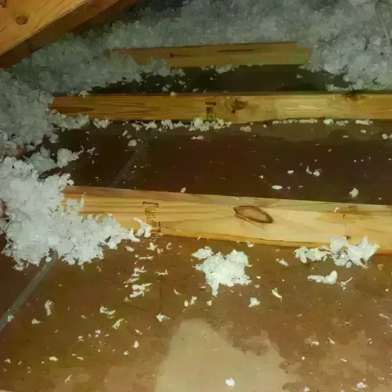 Attic Water Damage in Cabarrus County, NC